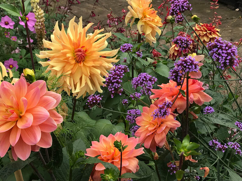 Garden design & maintainance Cambridgeshire Borders 